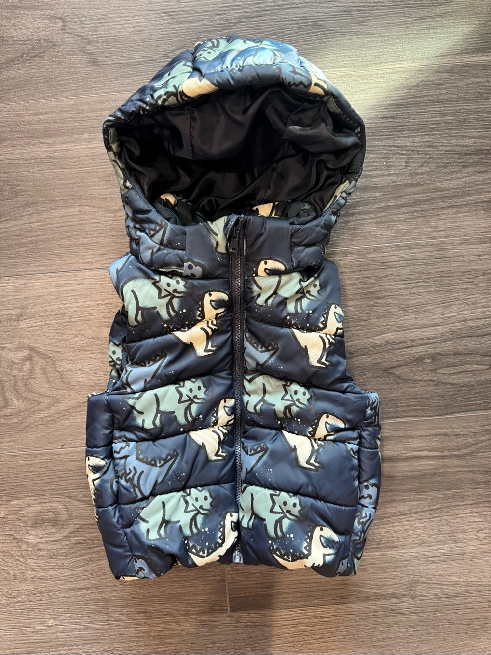 H&M Navy & Light Blue Kids Puffer Vest with Dinosaur Print